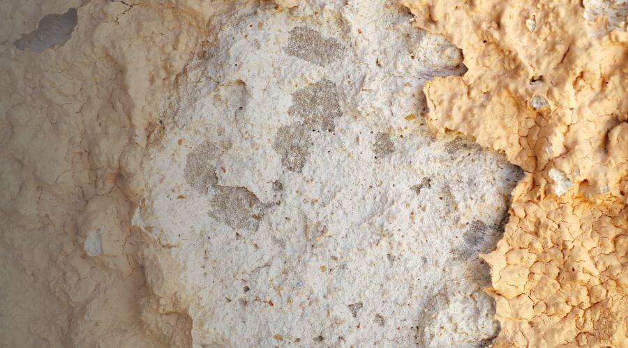 Why choose water damage restoration service for emergency water extraction services in Fort Worth